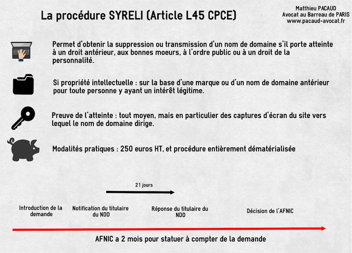 syreli-cybersquatting-nom-domaine-france